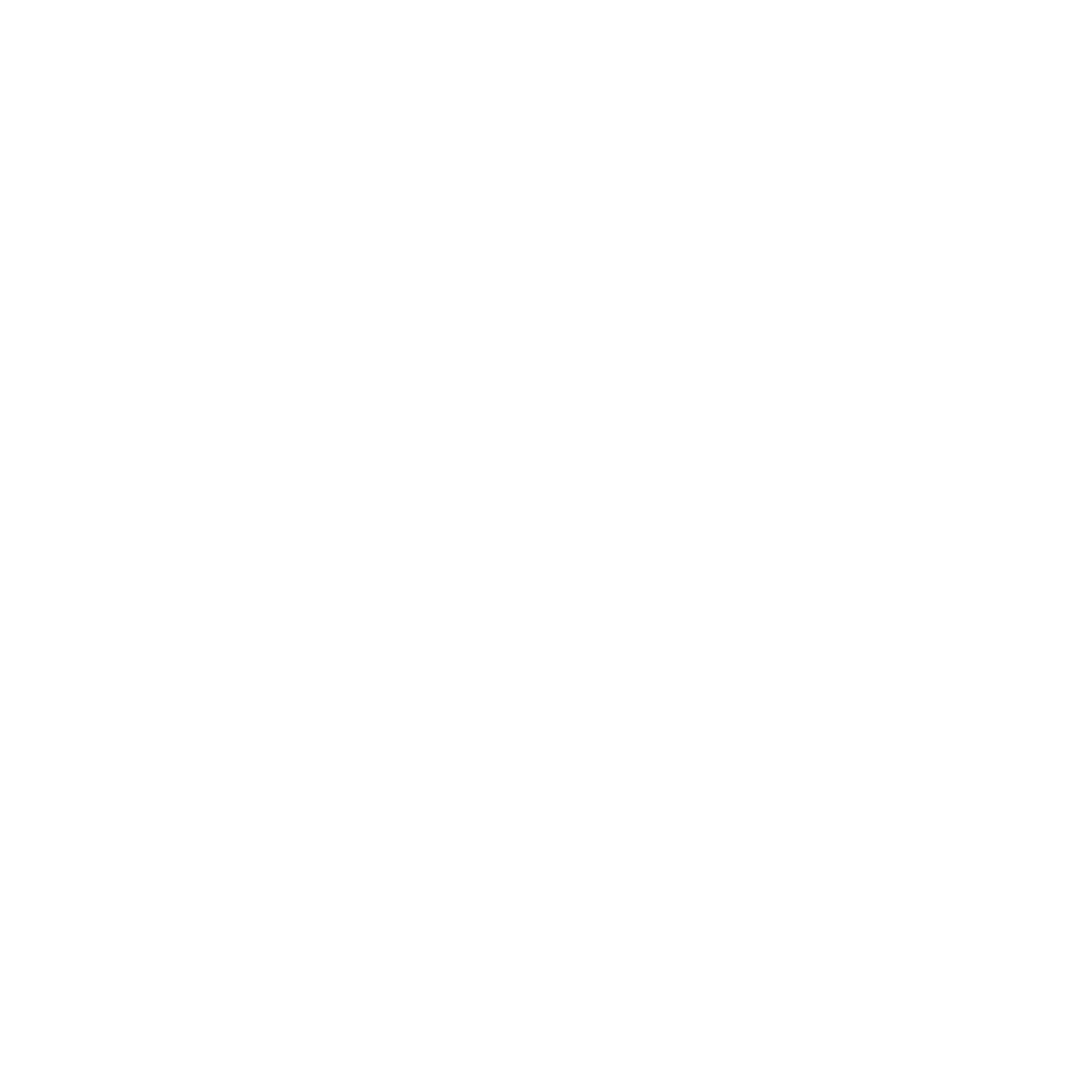 Capacity Development